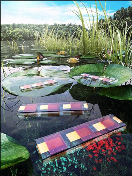 물에 띄울 수 있는 일체형 인공잎 시스템(자료 : 과기정통부)